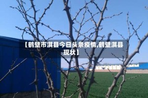 【鹤壁市淇县今日头条疫情,鹤壁淇县现状】