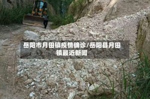 岳阳市月田镇疫情确诊/岳阳县月田镇最近新闻