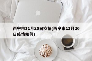 西宁市11月20日疫情(西宁市11月20日疫情如何)