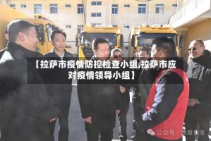 【拉萨市疫情防控检查小组,拉萨市应对疫情领导小组】