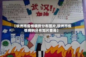 【钦州市疫情病例分布图片,钦州市疫情病例分布图片查询】