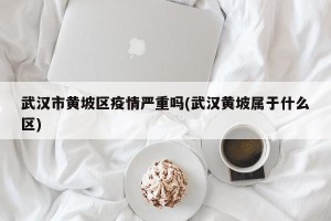 武汉市黄坡区疫情严重吗(武汉黄坡属于什么区)
