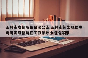 玉林市疫情防控会议公告/玉林市新型冠状病毒肺炎疫情防控工作领导小组指挥部