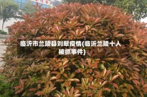 临沂市兰陵县刘翠疫情(临沂兰陵十人被抓事件)