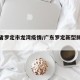 广东省罗定市龙湾疫情/广东罗定新型肺炎疫情