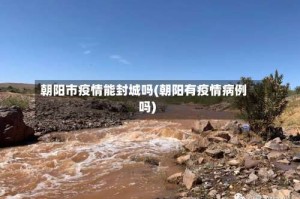 朝阳市疫情能封城吗(朝阳有疫情病例吗)
