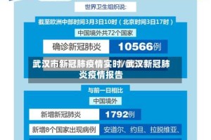 武汉市新冠肺疫情实时/武汉新冠肺炎疫情报告