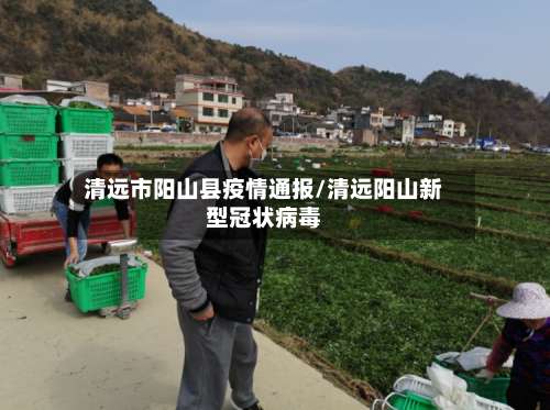 清远市阳山县疫情通报/清远阳山新型冠状病毒-第2张图片