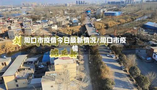 周口市疫情今日最新情况/周囗市疫情-第3张图片