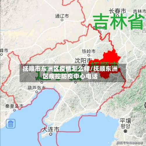 抚顺市东洲区疫情怎么样/抚顺东洲区疾控防疫中心电话-第1张图片