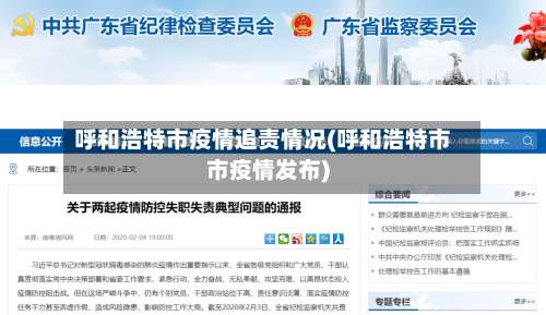 呼和浩特市疫情追责情况(呼和浩特市市疫情发布)-第1张图片