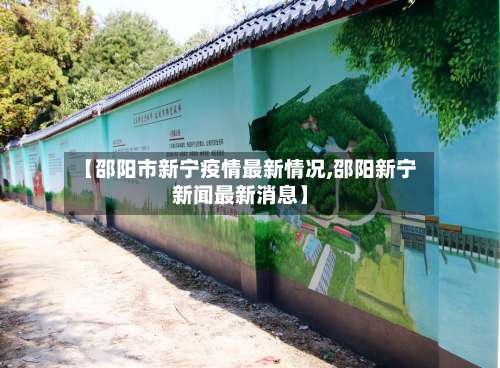 【邵阳市新宁疫情最新情况,邵阳新宁新闻最新消息】-第2张图片