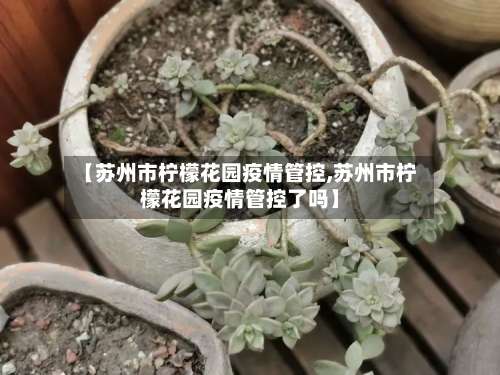 【苏州市柠檬花园疫情管控,苏州市柠檬花园疫情管控了吗】-第1张图片