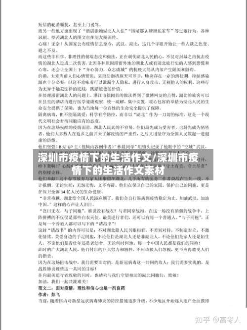 深圳市疫情下的生活作文/深圳市疫情下的生活作文素材-第1张图片