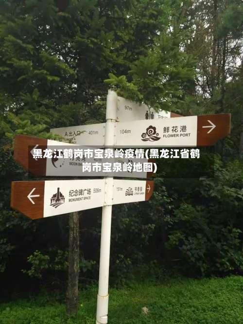 黑龙江鹤岗市宝泉岭疫情(黑龙江省鹤岗市宝泉岭地图)-第2张图片