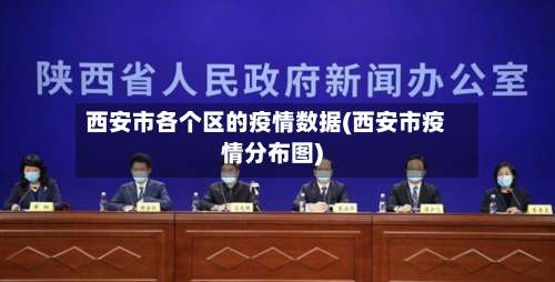西安市各个区的疫情数据(西安市疫情分布图)-第2张图片