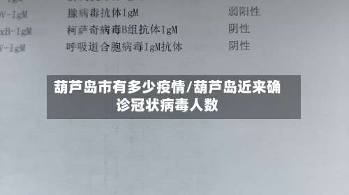 葫芦岛市有多少疫情/葫芦岛近来确诊冠状病毒人数-第2张图片