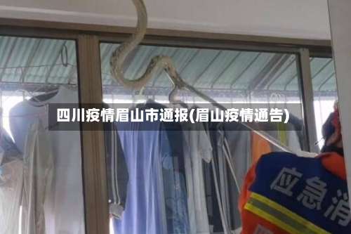 四川疫情眉山市通报(眉山疫情通告)-第1张图片