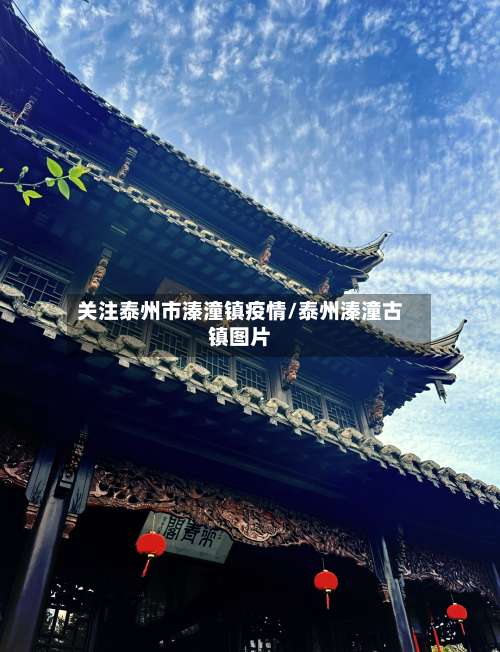 关注泰州市溱潼镇疫情/泰州溱潼古镇图片-第1张图片