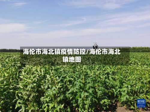 海伦市海北镇疫情防控/海伦市海北镇地图-第2张图片