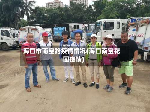 海口市南宝路疫情情况(海口南宝花园疫情)-第2张图片