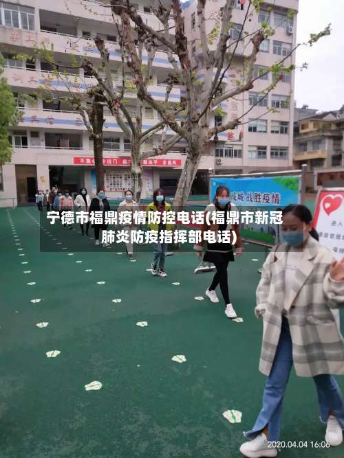 宁德市福鼎疫情防控电话(福鼎市新冠肺炎防疫指挥部电话)-第2张图片