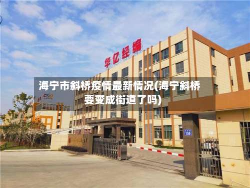 海宁市斜桥疫情最新情况(海宁斜桥要变成街道了吗)-第1张图片