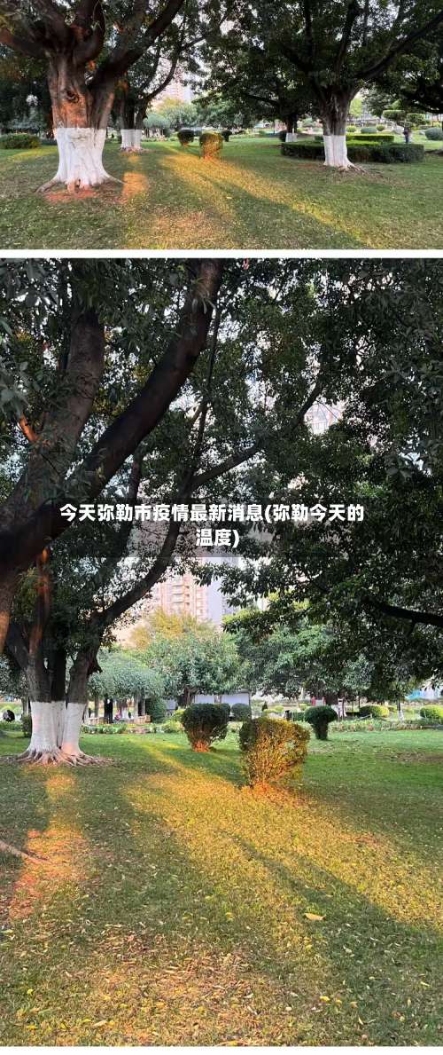 今天弥勒市疫情最新消息(弥勒今天的温度)-第3张图片