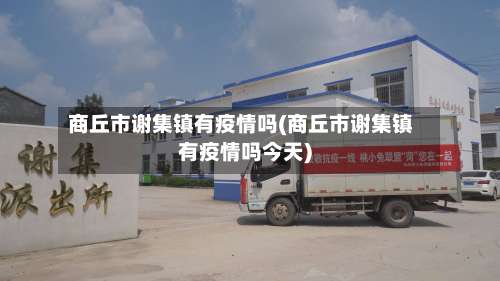 商丘市谢集镇有疫情吗(商丘市谢集镇有疫情吗今天)-第1张图片