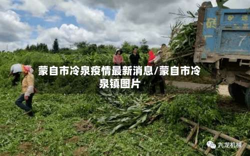 蒙自市冷泉疫情最新消息/蒙自市冷泉镇图片-第1张图片