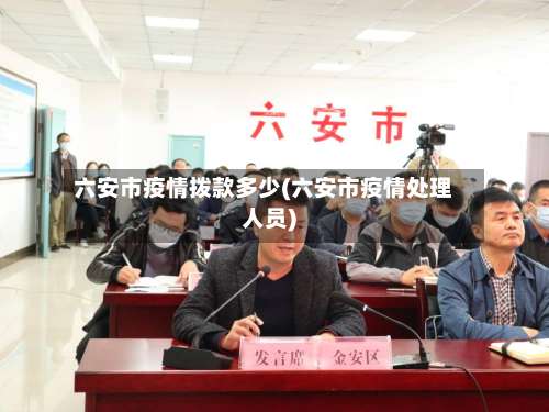 六安市疫情拨款多少(六安市疫情处理人员)-第2张图片