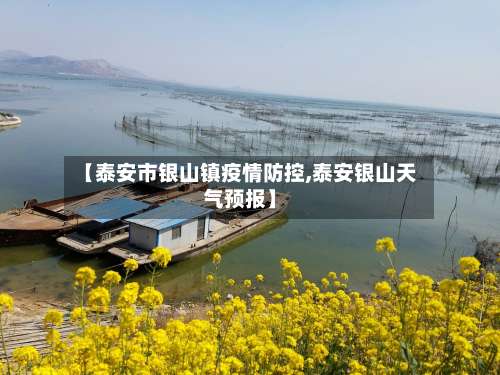 【泰安市银山镇疫情防控,泰安银山天气预报】-第1张图片